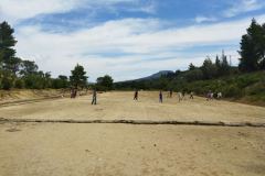 IMG-37478ba6253b37b48f43d279add0bb7b-V