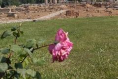 IMG-c6017680d6bac3a537e3cc96367badae-V